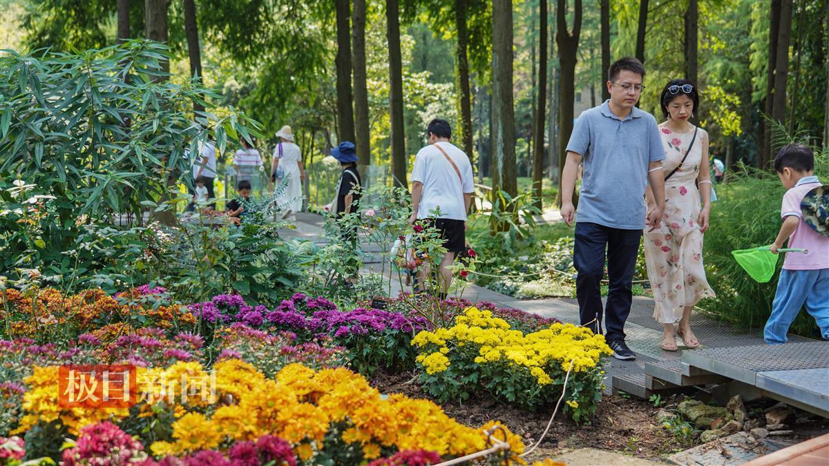 必发官网登入